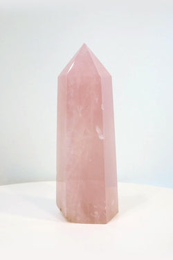 Large Rose Point