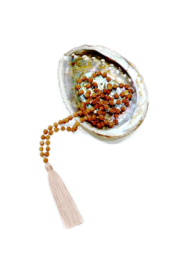 Abalone Shell